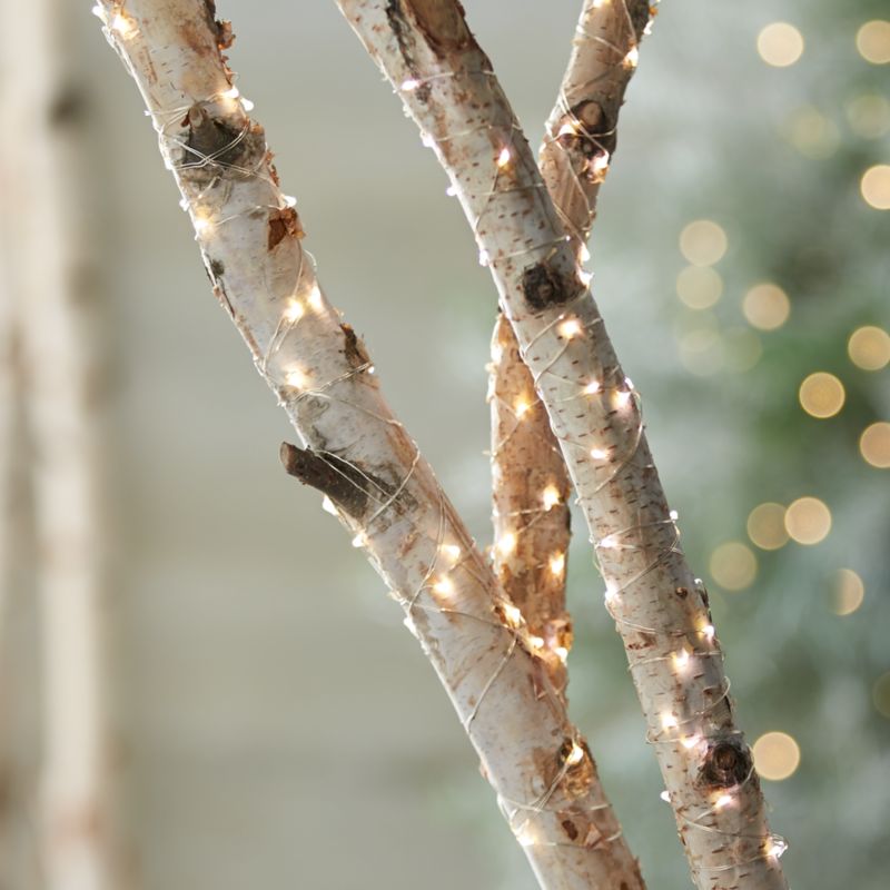Twinkle Silver String Lights Crate and Barrel